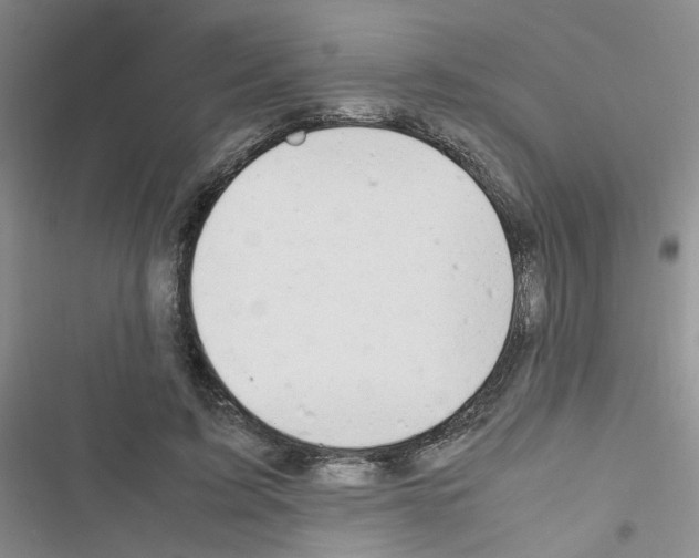 X0000116660595201001251219