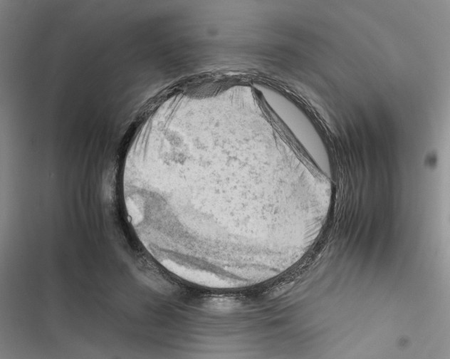 X0000116660596201001251219