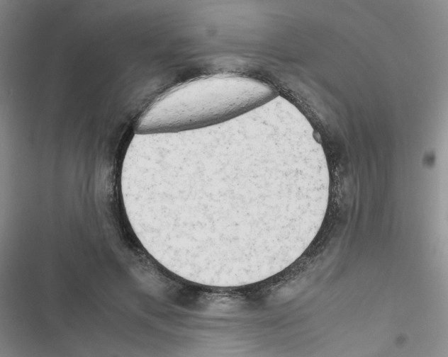 X0000116660597201001251219