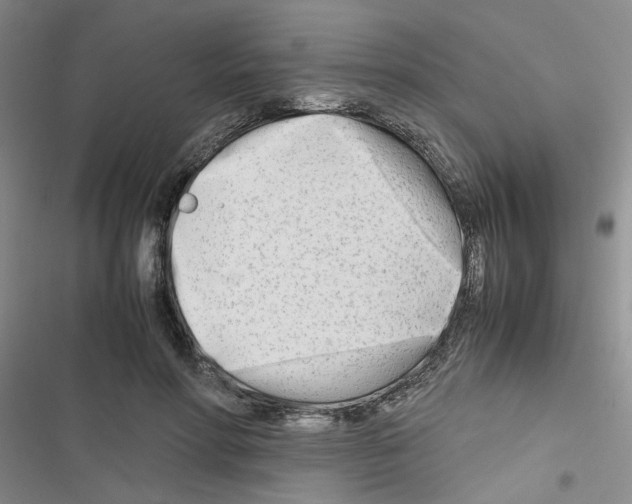 X0000116660598201001251219