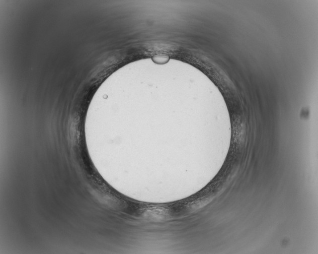 X0000116660599201001251219