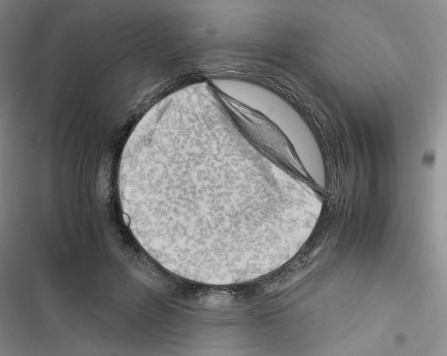 X0000116660600201001251219