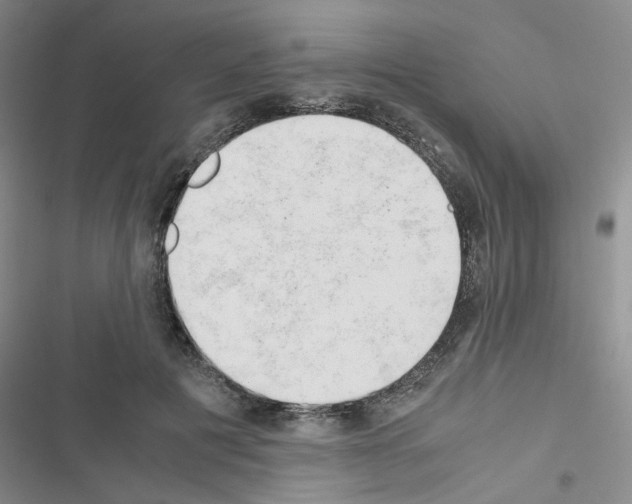 X0000116660601201001251219