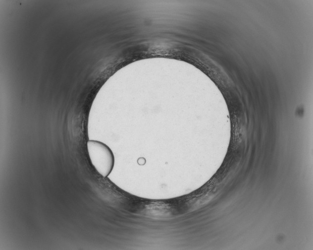 X0000116660603201001251219