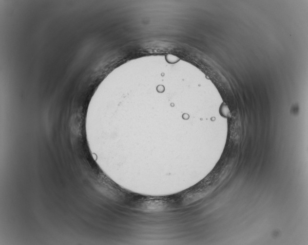 X0000116660604201001251219