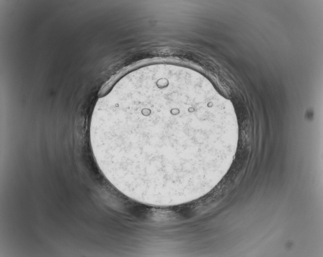 X0000116660605201001251219