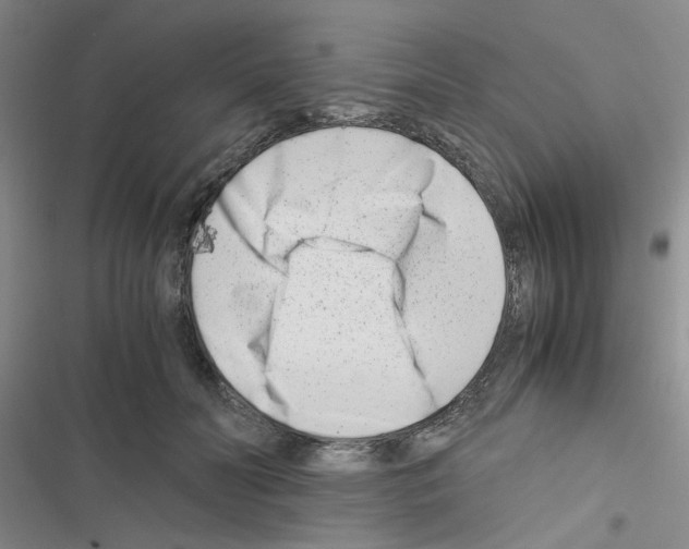 X0000116660606201001251219
