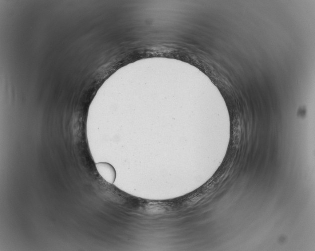 X0000116660608201001251219