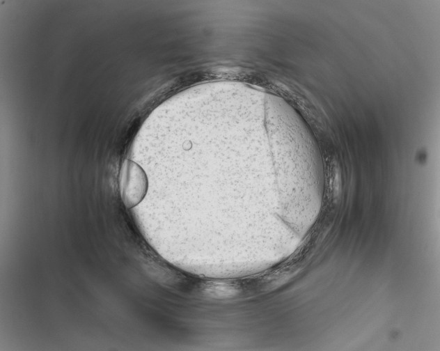 X0000116660610201001251219