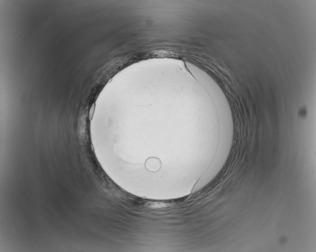 X0000116660611201001251219