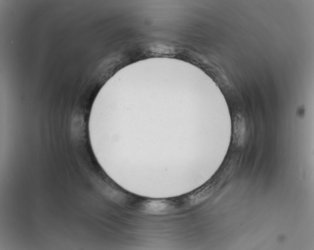 X0000116660614201001251219