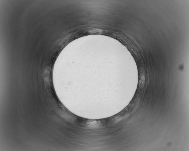 X0000116660616201001251219