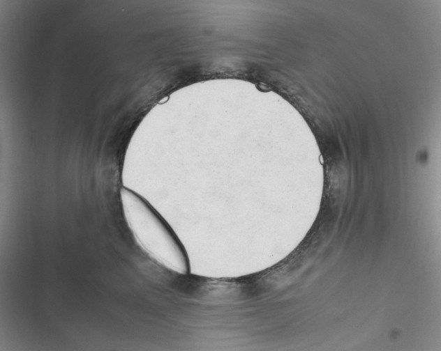 X0000116660617201001251219