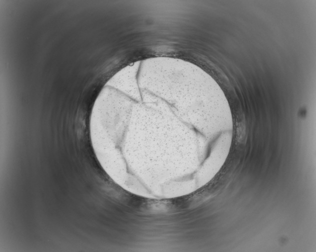X0000116660618201001251219