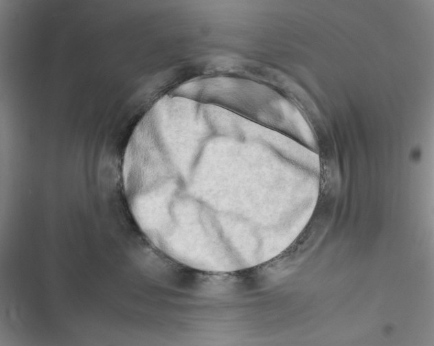 X0000116660621201001251219