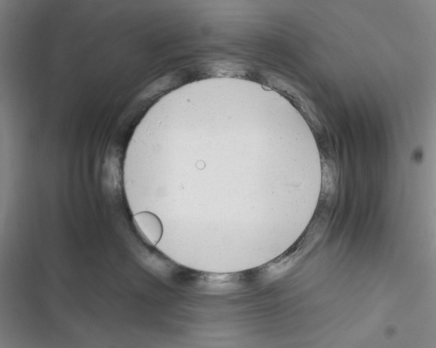 X0000116660622201001251219