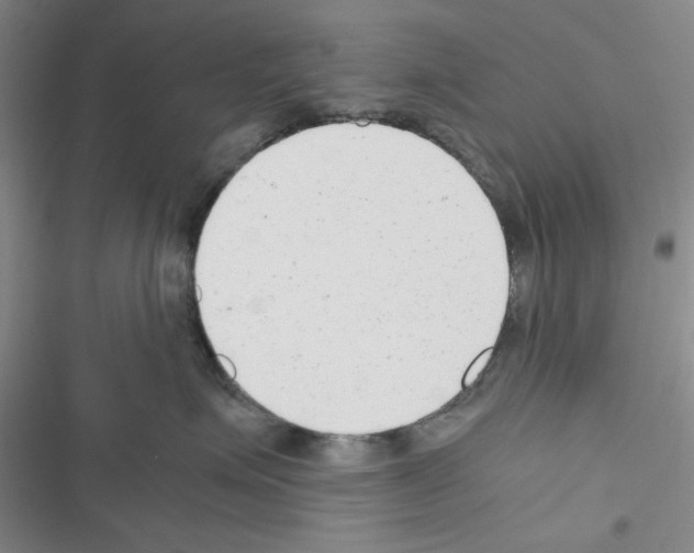 X0000116660623201001251219