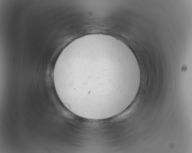 X0000116660624201001251219