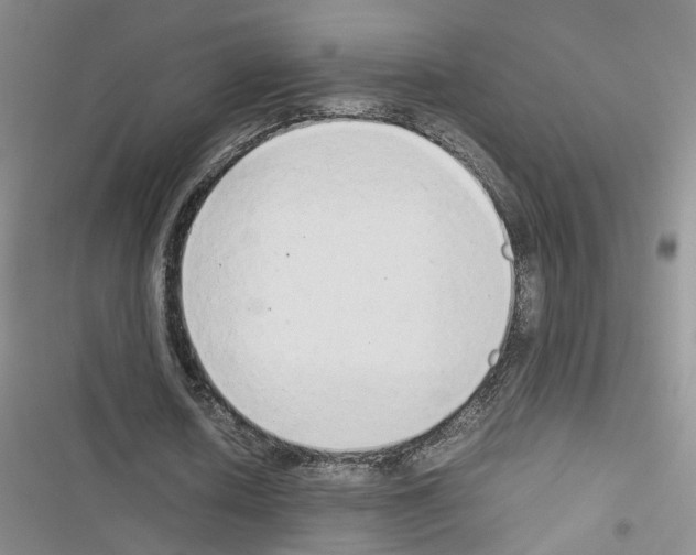 X0000116660626201001251218