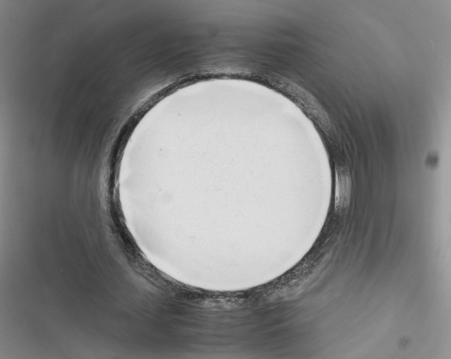 X0000116660627201001251218