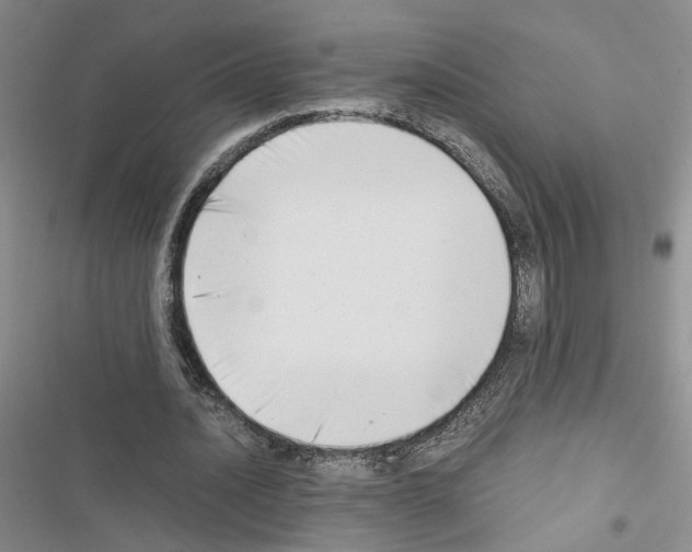 X0000116660628201001251218
