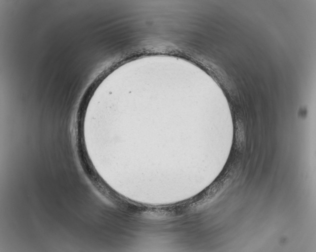 X0000116660630201001251218