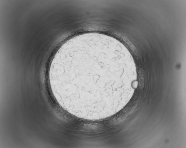 X0000116660631201001251218