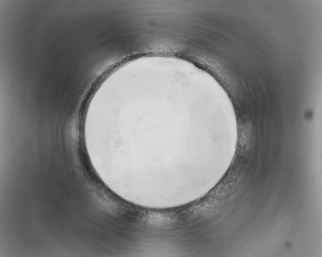 X0000116660632201001251218