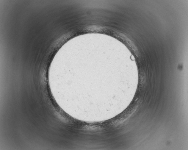 X0000116660633201001251218