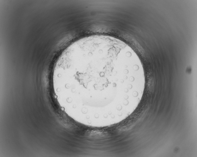X0000116660635201001251218