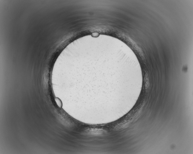 X0000116660637201001251218