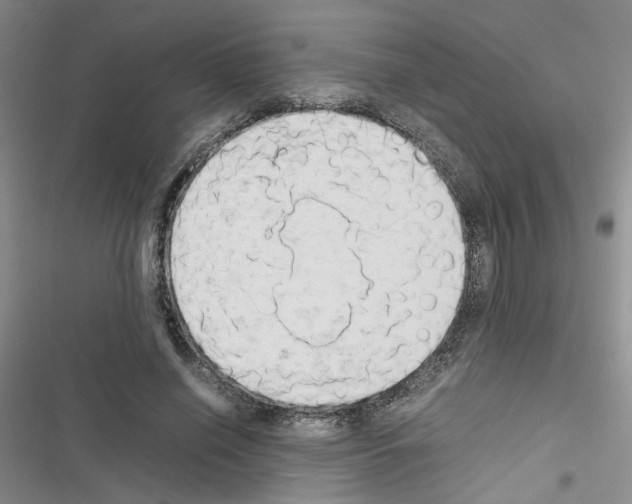 X0000116660638201001251218