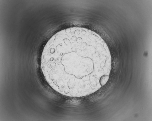 X0000116660639201001251218