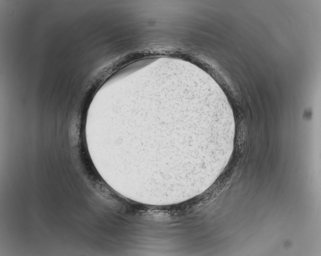 X0000116660640201001251218