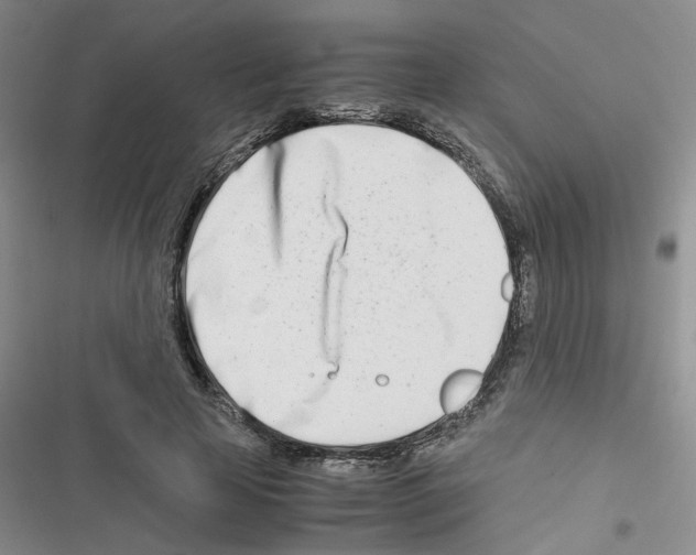 X0000116660641201001251218