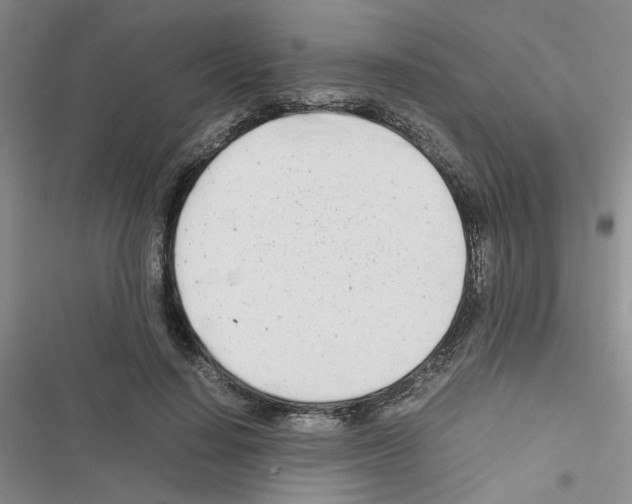 X0000116660644201001251218