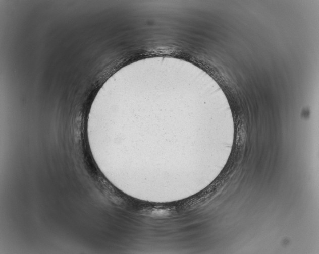 X0000116660647201001251219