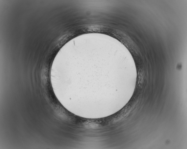 X0000116660648201001251219