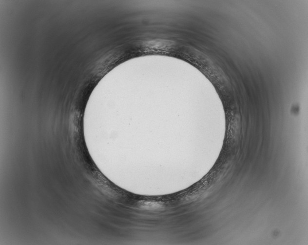 X0000116660649201001251219
