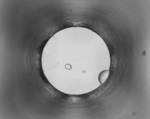 X0000116660650201001251219