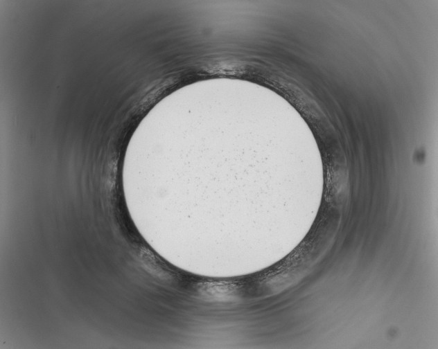X0000116660652201001251219