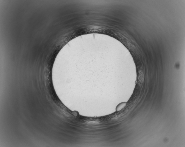 X0000116660653201001251219
