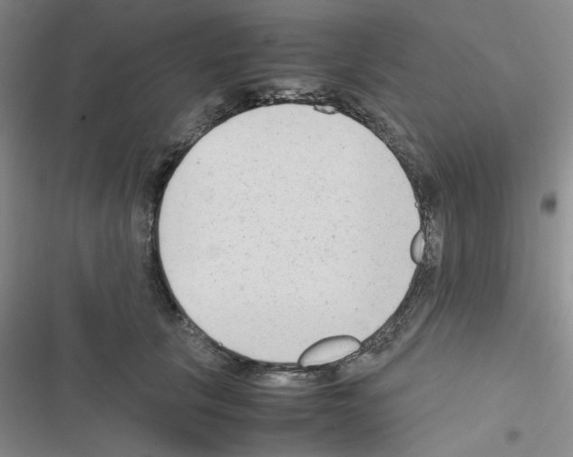 X0000116660657201001251219