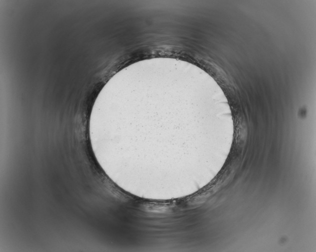 X0000116660661201001251219