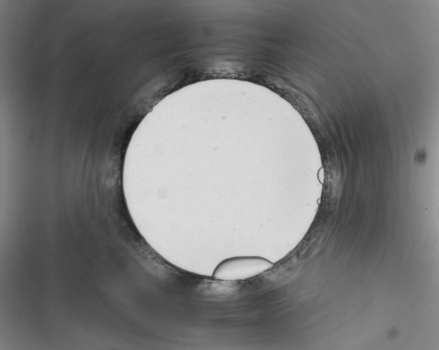 X0000116660665201001251219