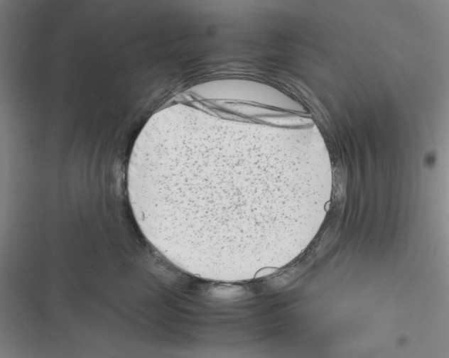 X0000116660669201001251219