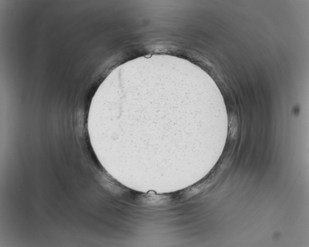 X0000116660670201001251219