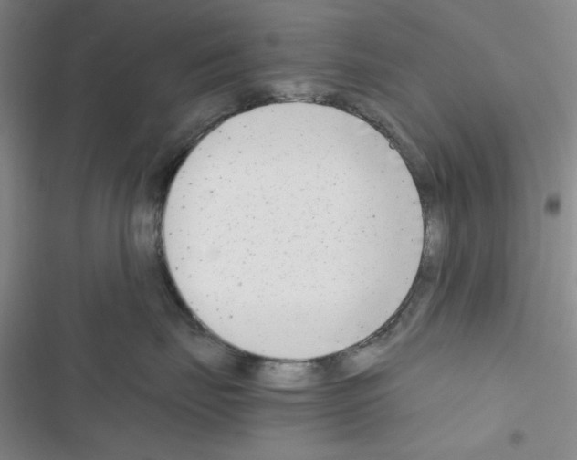 X0000116660671201001251219