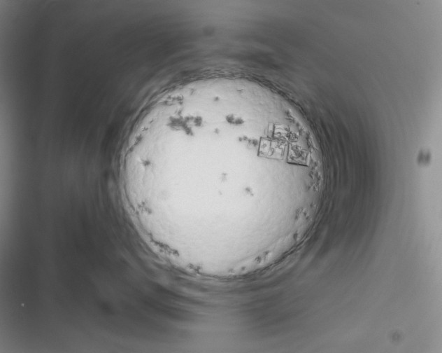 X0000116660672201001251219
