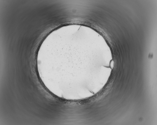 X0000116660673201001251218